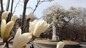[날씨]25일 한낮 최고 22도 ‘완연한 봄’…강원 일부 아침은 영하권