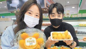 “새콤달콤 황금빛 비파 맛보세요”