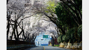 더 따뜻해진 한반도…여름 4일 늘고, 겨울 7일 줄였다