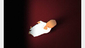 쓰레기 가득한 방에 2세 아이 두고 사라진 30대, 집행유예