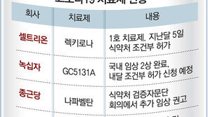 곧 나온다던 코로나 K치료제 다 어디갔나