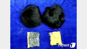 ‘머리속에 뭐가 들었길래’…가발에 금 숨겨 밀반입 하려다 적발