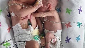 ‘보고 싶었어’ 다시 만난 쌍둥이 동생 꼭 껴안은 오빠