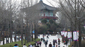 내일부터 봄철 나들이 특별방역…단체여행 대표자 방역관리자 지정