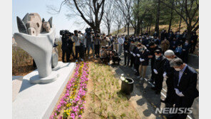 ‘대구 개구리소년’ 실종 사건 30년… 와룡산 인근에 세워진 추모비