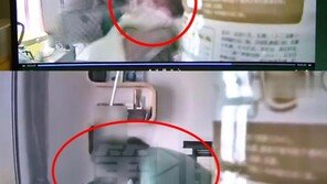 “계속 울면…” 생후 40일 아기 마구 때린 中보모 벌금 8만원