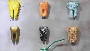 [고양이 눈]그림 같은 치아