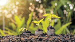 농업인에게 직접 혜택 주는 ‘공익직불금’ 신청하세요