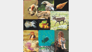 생태학 연구 새바람… ‘SNS 사진’서 자연의 위기 신호 찾는다