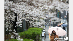 빗방울 오전 들어 ‘뚝’…남부 일부 강풍 ‘조심’