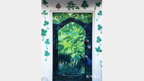 [고양이 눈]초록 문