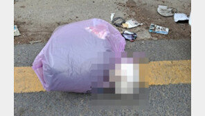 몰티즈 쓰레기봉투에 버려져 ‘끙끙’…경찰 수사