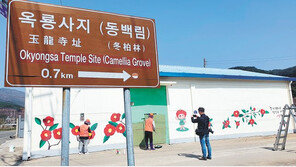 홀몸 어르신 찾아가 식사 대접… 마을 곳곳에 벽화 선물도