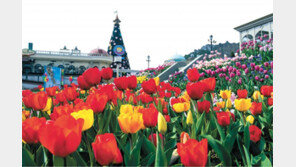 에버랜드“자연농원의 추억 그대로”… 튤립정원의 눈부신 봄마중