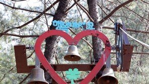 [고양이 눈]행복