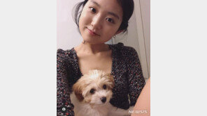 [초점]“사지 말고 입양”하라더니…연예인, 반려동물 파양 욕먹는 이유