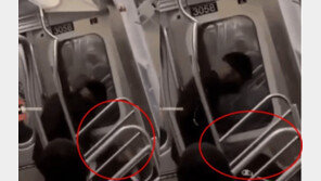 흑인이 아시아인 기절할 때까지 때리는데…말리긴커녕 환호성(영상)