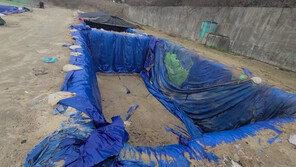 남한강가에 웬 구덩이가?…무단 단무지 절임시설 적발