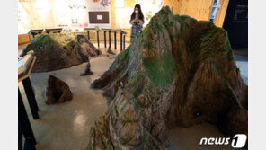 정부 ‘독도=일본땅’ 日교과서에 “강력 규탄, 즉각 시정해야”