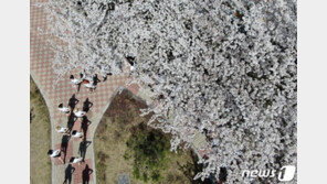 [날씨]수요일 낮 최고 25도, 때이른 더위…사흘째 황사