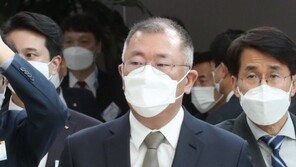 정의선, 현대차 총수 된다…공정위, 정몽구서 동일인 변경