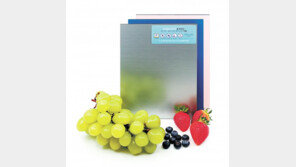 고철 재활용에 친환경 가마 도입 이산화탄소 배출 4분의 1로 감소