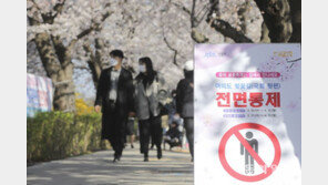 31일부터 여의도 벚꽃길 전면통제