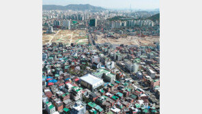 공공재개발 찬성 절반 넘었던 후보지, “서울시장 선거 지켜보자” 유보 움직임