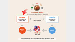 “종주국 한국산 김치, 코로나19 증상 완화에 도움”