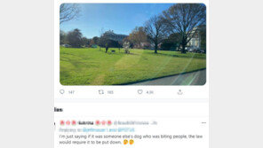 또 사람 물었다…백악관 골칫덩이 된 ‘퍼스트 도그’