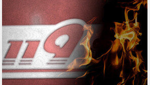 “똑바로 해” 불 끄러온 소방관에 욕설난동 60대…1심 집행유예