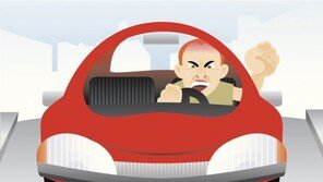 끼어들었다고 욕하고 침 뱉고…상습 보복운전 30대 구속