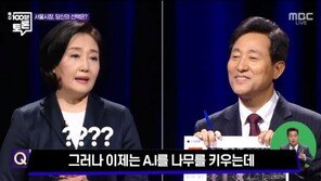 왕릉에 수직정원 올려 BTS 공연?…이준석 “박영선 공약 뭔말?”
