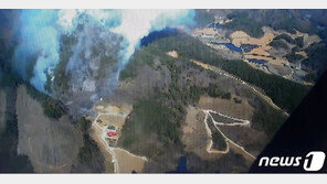 정선 산불 2시간30분만에 진화… 양구 산불 진화율 50%