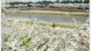 [날씨]4월 첫날도 포근한 날씨…서울 낮 최고기온 24도