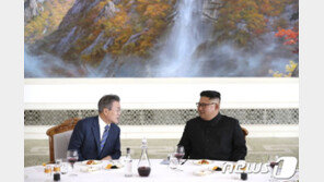 서울시, ‘2032 서울·평양 올림픽’ 공동개최 유치제안서 제출