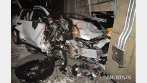 ‘테슬라 사망 사고’ 충돌전 시속 95㎞…무슨 일 있었나