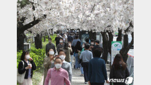여의도·양재천 등 벚꽃 명소 인파에 코로나 방역 비상