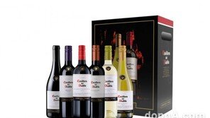 아영FBC, 와인 입문자 위한 ‘디아블로 스타터 패키지’ 출시… CU 편의점 통해 예약 판매