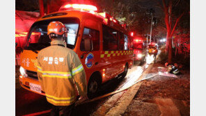 서울 관악산서 화재…30여분만에 진화
