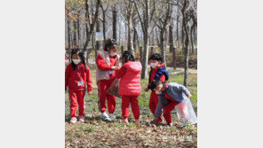 “나뭇잎으로 뭘 만들까?”