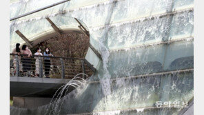 “육교에서 폭포가 쏟아지네”