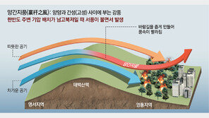 강원도 대형산불 주범 ‘양간지풍’ 실체 확인