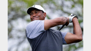 “우즈 사생활이라…” 車사고 원인 함구한 美경찰