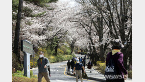 [날씨]‘투표하기 좋은날’ 서울 22도·부산 20도…미세먼지 양호