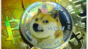 “달까지 가져갈 거야” 머스크 한마디에 도지코인 또 ‘떡상’