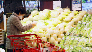 ‘金값’ 된 파 305.8%↑…3월 물가 14개월만에 최대 상승