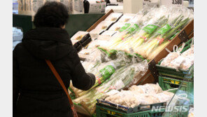 정부 “대파, 이달 중순 가격 안정될 것…계란 가격 하락세”