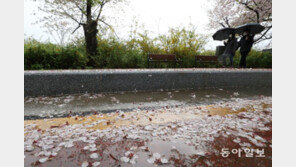 주말 전국 많은 비…“최소 7일까지 미세먼지 없어”