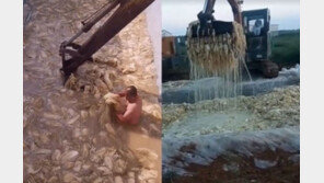 ‘한국은 中 속국’ 발언 논란에…식약처 “직원실수, 사과”